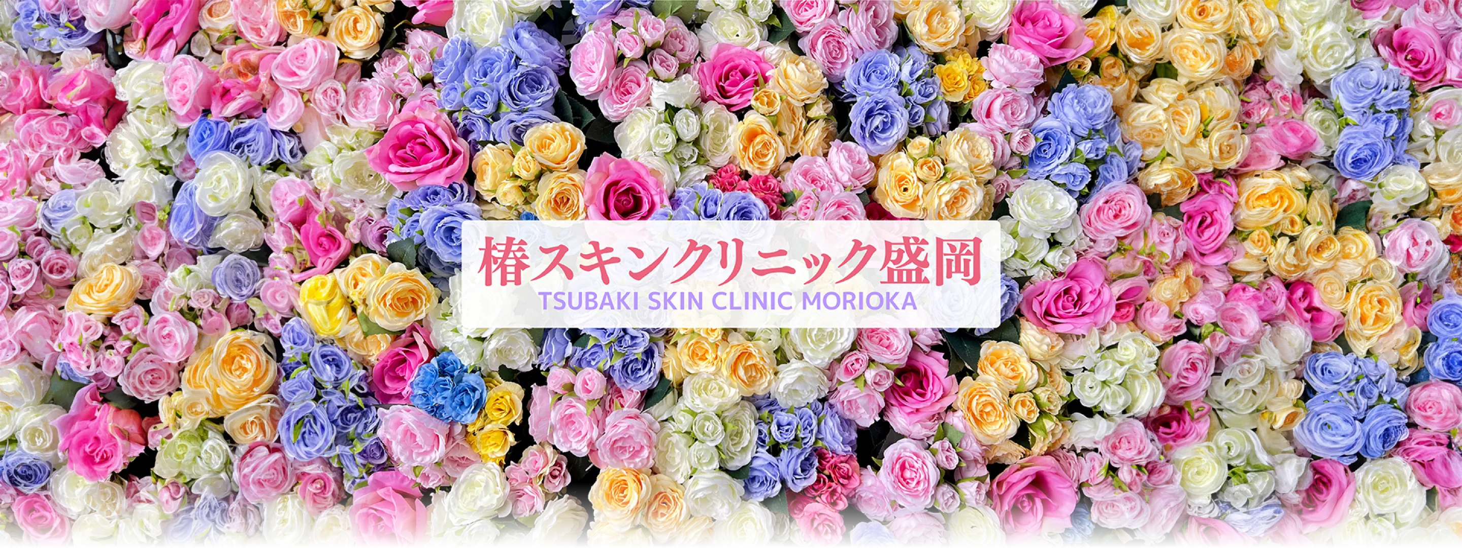 ファーストビュー