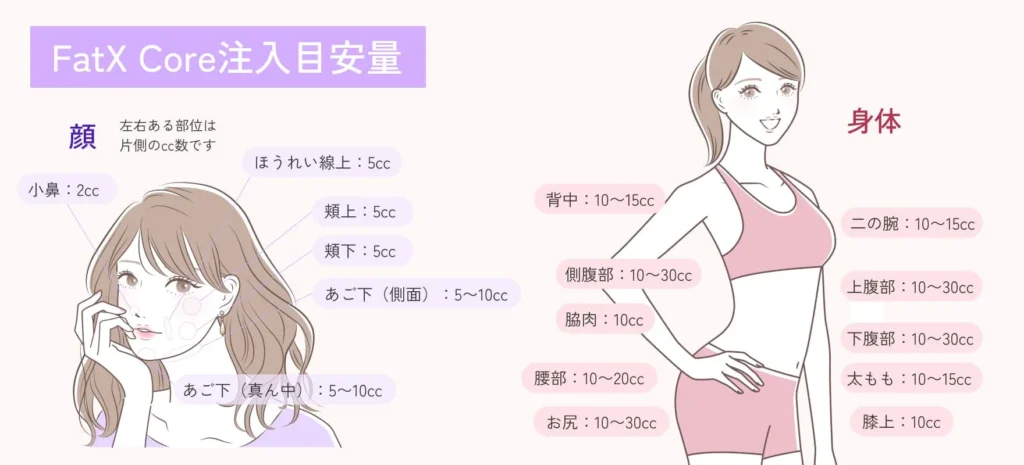 適用部位と注入目安量