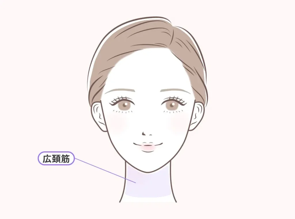 広頚筋ボトックス(首のしわ)