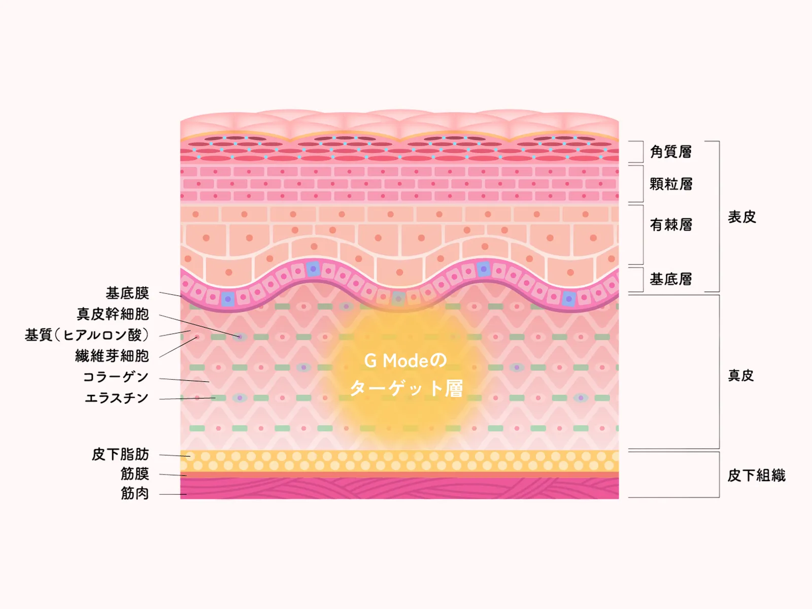 Gモードの概念図